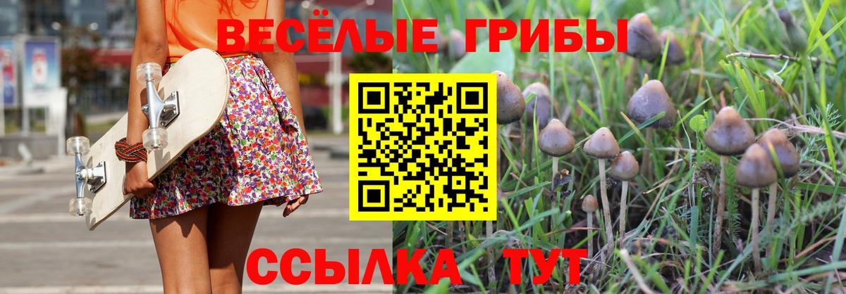 Галлюциногенные грибы мухоморы Сальск