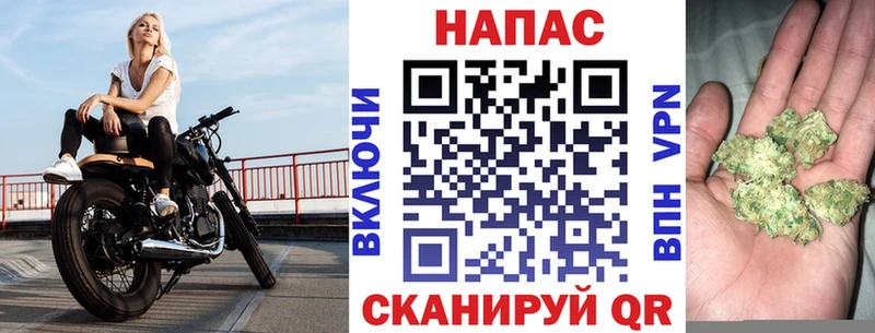 blacksprut ТОР  Сальск  Шишки марихуана сатива  закладки 