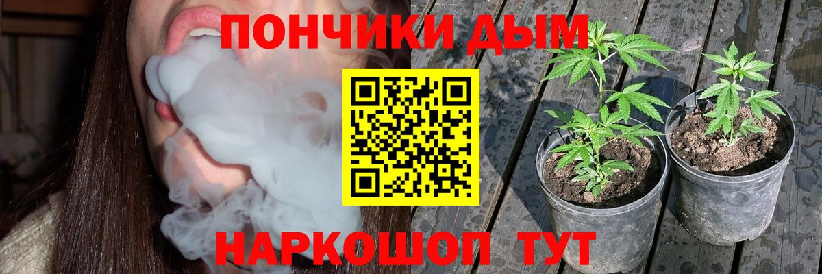 Конопля конопля Сальск